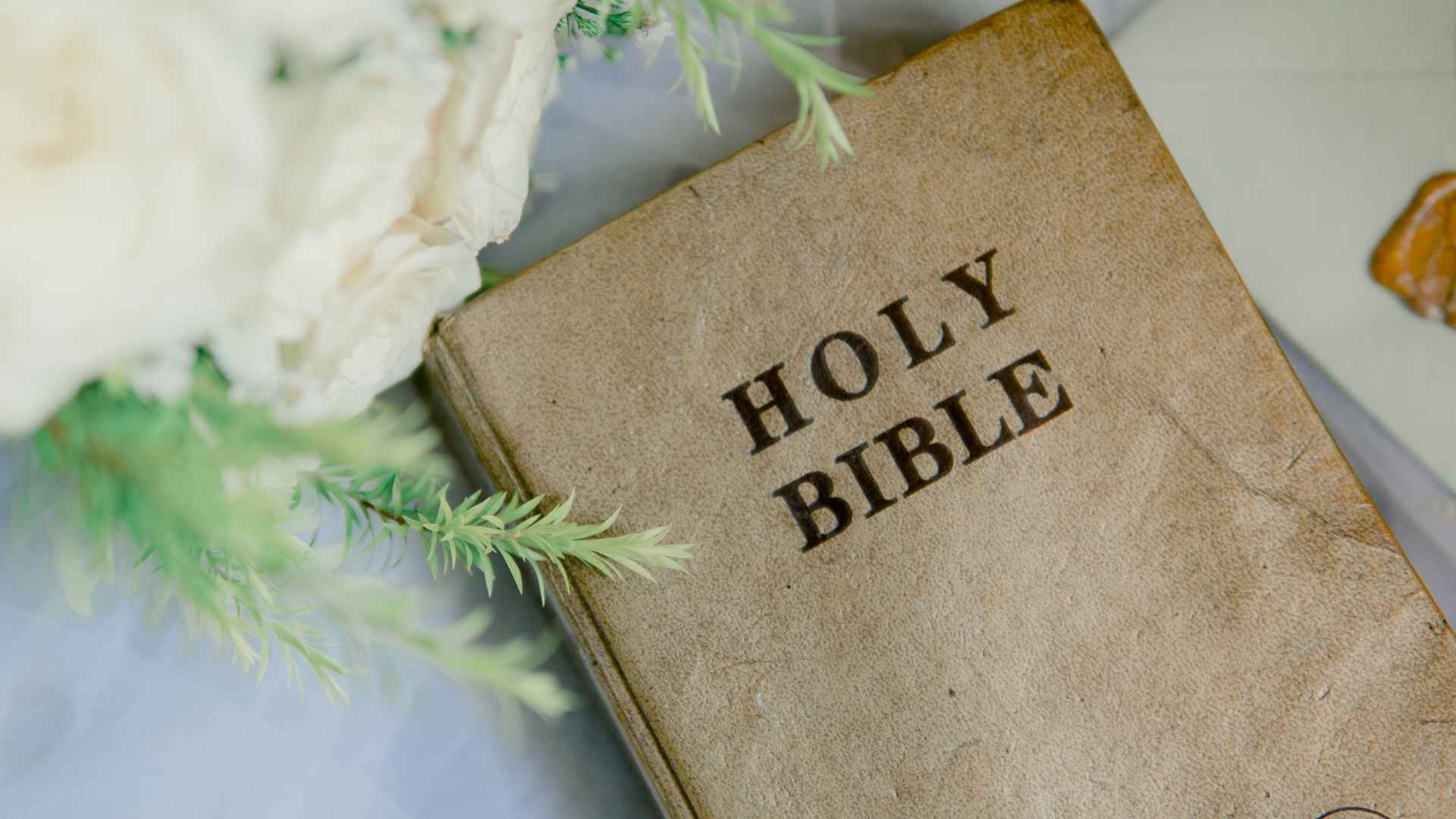 tan holy bible surrounded by flowers